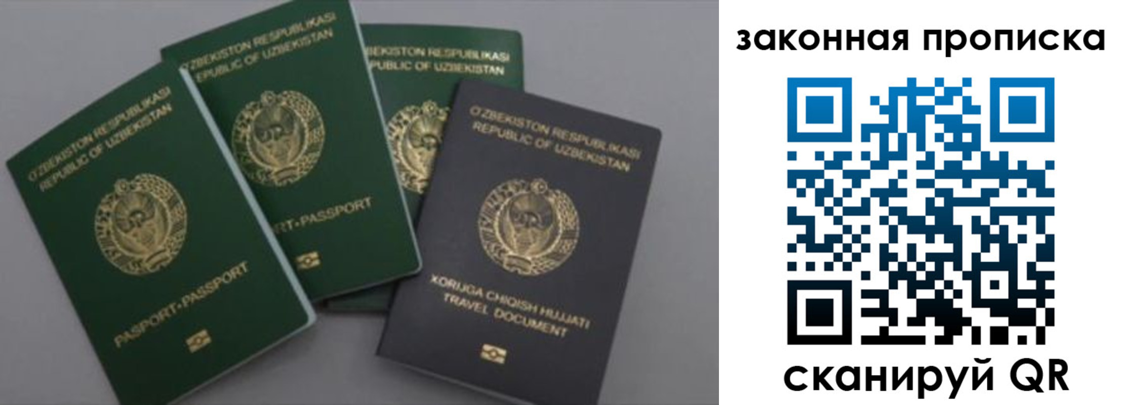 прописка законно в Читинской области